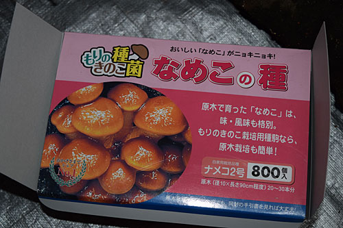種駒は、ドクターもりさん