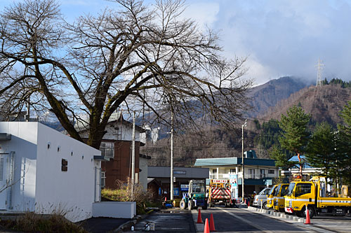 桜の枝落としへ