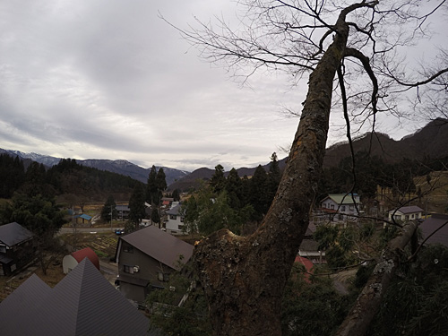 約２時間の作業でスッキリしました。