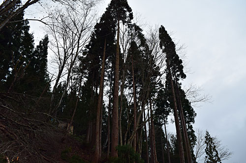 午後から３本、スッキリしました。