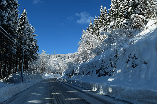 大沢峠の雪景色も最高でした。