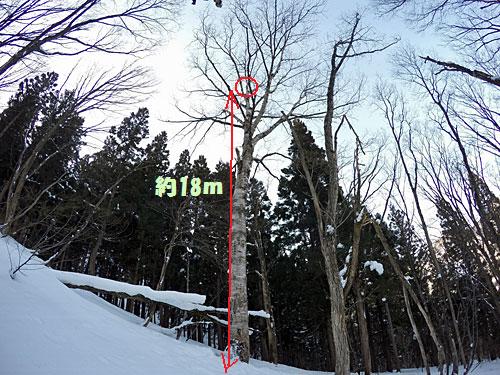 高さ約１８ｍくらいまで登って来ました。