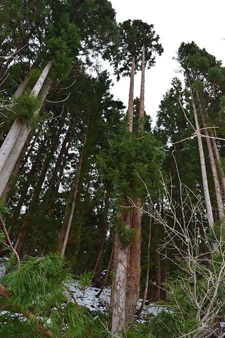 上手くいきませんでした。