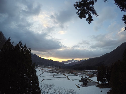 樹上からの景色は最高でした。