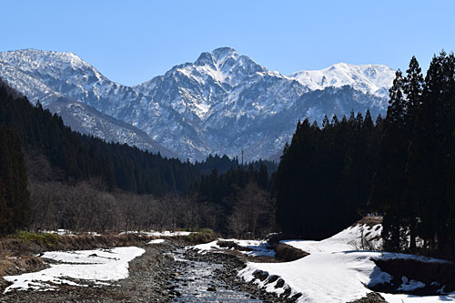 春のような陽気になりました。