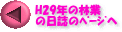 H29N̗ы d̃y[W 