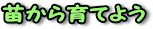 cĂ悤