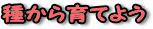 킩Ă悤