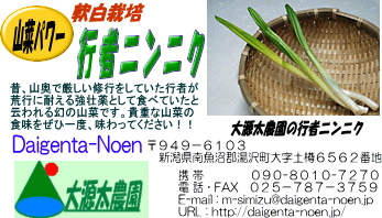 s҃jjN̔px