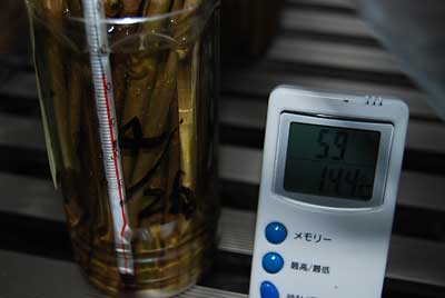 簡易ハウスの室温は、１４．４℃、水温は１５℃