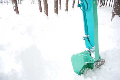 行者ニンニク畑の除雪をしました。