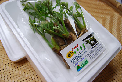タラの芽販売のページへ