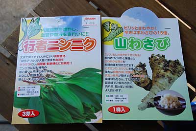 行者ニンニクと山わさびの苗です。