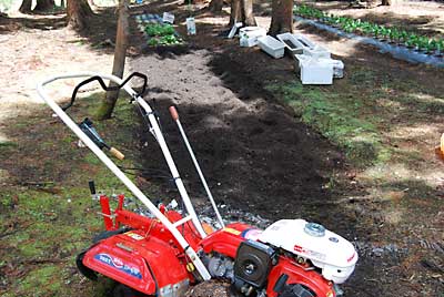 畑ワサビを植える畑を管理機のポチで耕耘しました。