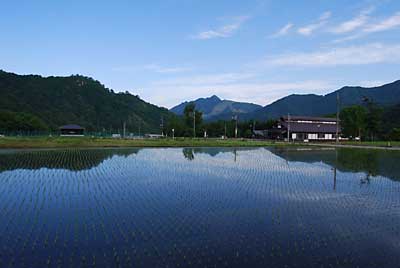大源太の田植えも今日で終わりそうです。