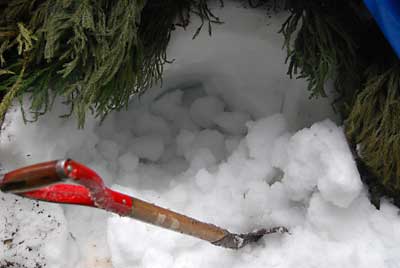 ｍほど雪を掘ったのですが、目的のものが出て来ません。