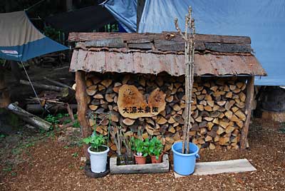 大源太農園の看板の前に展示した雪室山菜です。