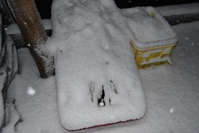 午後から雪が強くなり夕方には真っ白になりました。