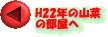 H22N̎R؂̕