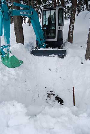 ユンボで除雪して雪の下の行者ニンニクの様子を見てみることにしました。