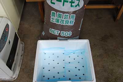 トロ箱の底に穴をいくつか開けて、ネットを敷きました。