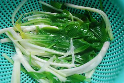 １分ほど茹でてから、冷水に入れて締めます。