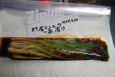 干し神楽なんばんと昆布つゆ（３倍濃縮）を入れて行者ニンニクの一本漬けを仕込みました。