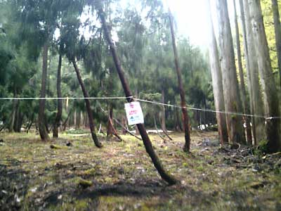 山菜畑に看板とビニールヒモを設置してきました。