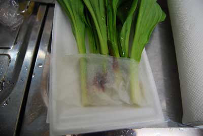 あぐりの里で購入して来た行者ニンニクで新鮮実験をしてみることにしました。