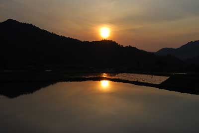 夕陽が田んぼに映ってきれいでした。