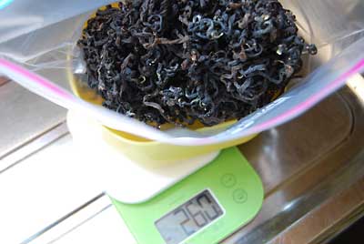 乾燥すると２６０ｇ（１／１０）になってしまいました。