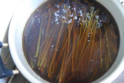 軽く茹でてから木灰（昨年もの）をかけてアク抜きをします。