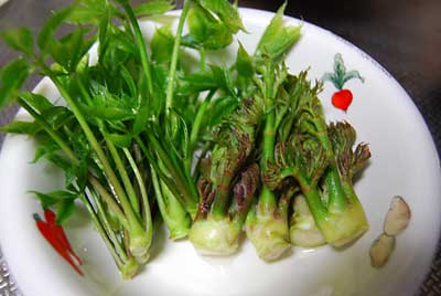 雪室貯蔵のタラの芽とコシアブラを試食してみることにしました。