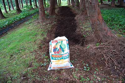 化成肥料も気持ち６ｋｇ、各畑に３ｋｇづつ撒きました。