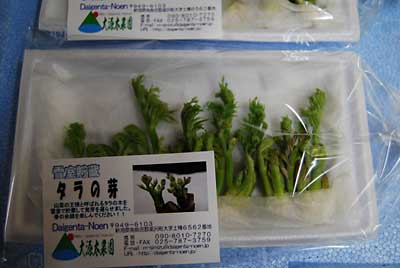 今日、午前中２パックだけ直売所に出品して来ました。