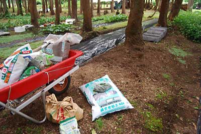林床に野菜培養土、腐葉土、ピートモス、完熟牛糞、化成肥料少々を混ぜて畑を作りました。