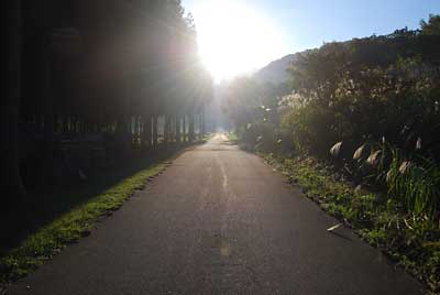 嬉しいことにここ数日、秋晴れが続いて農作業が進みます。