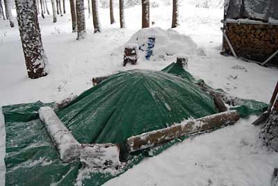 雪が消えないようビニールシートを被せて約１ヶ月雪の下に置いておきます。