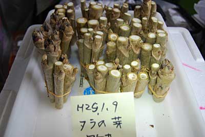 ７５個、追加しました。