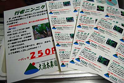 近日中に促成栽培の山菜を直売所に出そうと思って ラベルやＰＯＰを作りました。