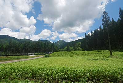 今日は、空気が澄んで景色がきれいでした。