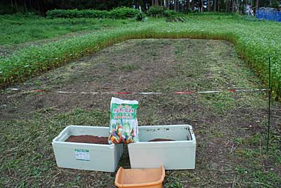 化成肥料も６ｋｇ撒きました。