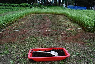 完熟牛糞を約１２０ｋｇ撒きました。