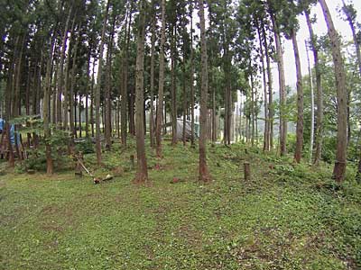約１時間ほどで終了しました。