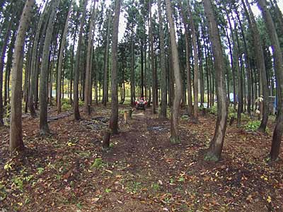行者ニンニク畑の耕耘（開墾）をようやくすることが出来ました。