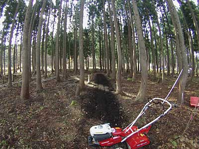 一度冬じまいした管理機のポチに最後の仕事をしてもらいました。