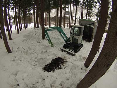 ユンボで雪を１ｍほど掘ってから収穫して来ました。