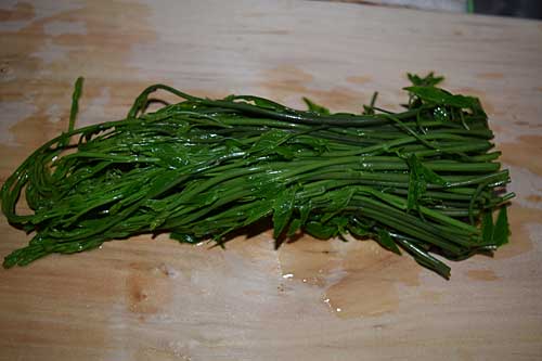木の芽（アケビの芽）の初物。