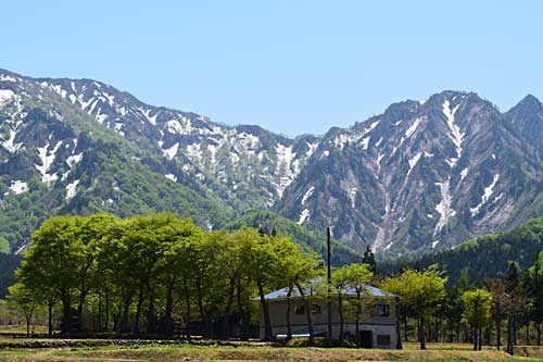 あっというまに新緑になってしまいました。