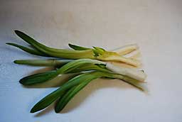 促成栽培した行者ニンニクを使って白菜キムチを仕込みました